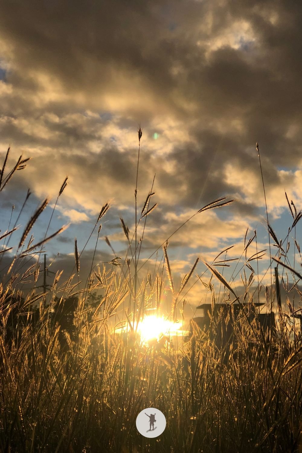 About 9 Featured Image — I'm Building an Online Business to Live on My Own Terms