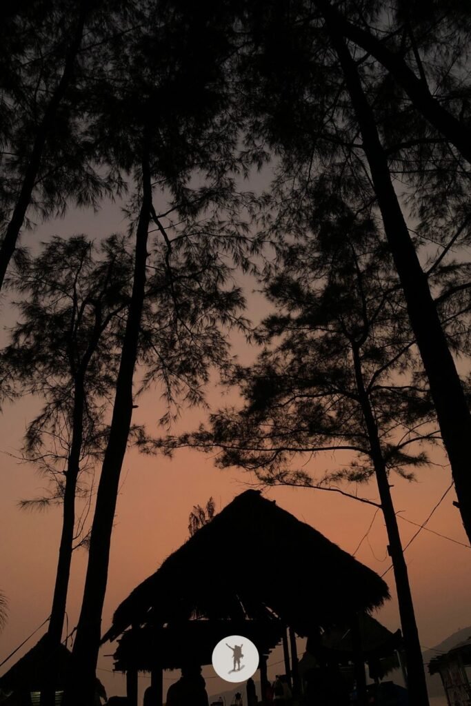 Building a Business-Ready Blog: The Role of Self-Awareness 7 Golden hour with pinetrees and beach hut