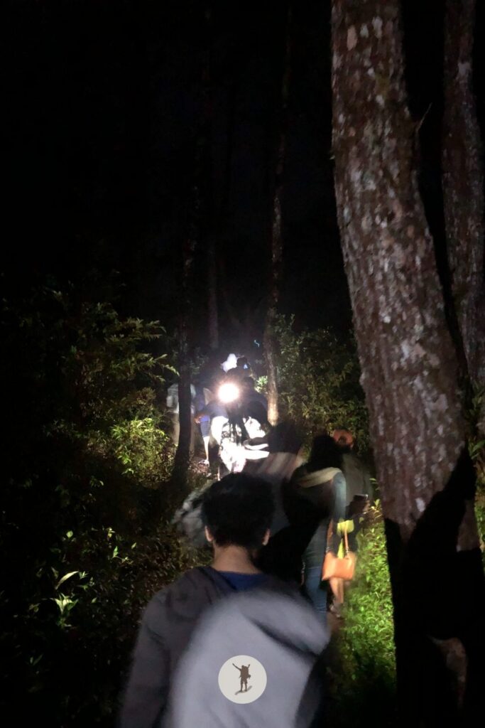 Hiking trail heading to Marlboro Hills viewpoint in Sagada, Philippines