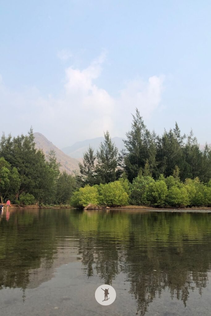 Building a Business-Ready Blog: The Role of Self-Awareness 8 Reflection of the mountains and trees on the surface of an estuary