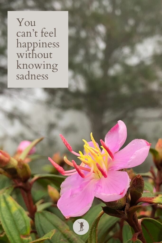 Sagada is Worth Visiting: Why I Can’t Wait to Return 3 You can’t feel happiness without knowing sadness, quote, flowers in the mountains of Sagada