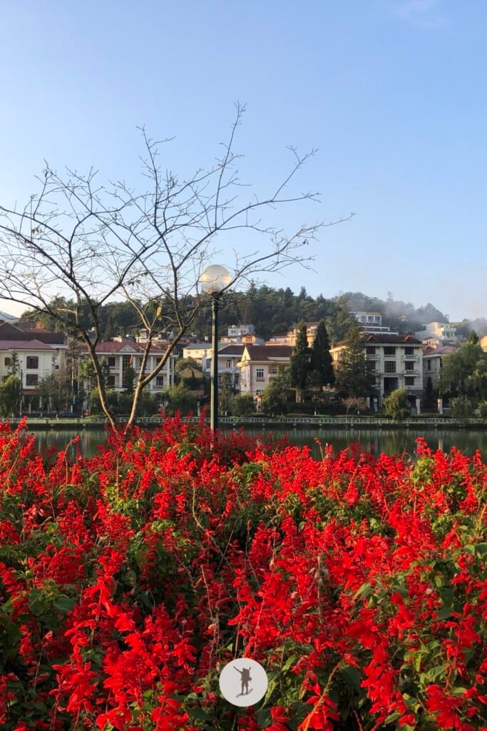 Charming scenes around Lake Sa Pa, Vietnam