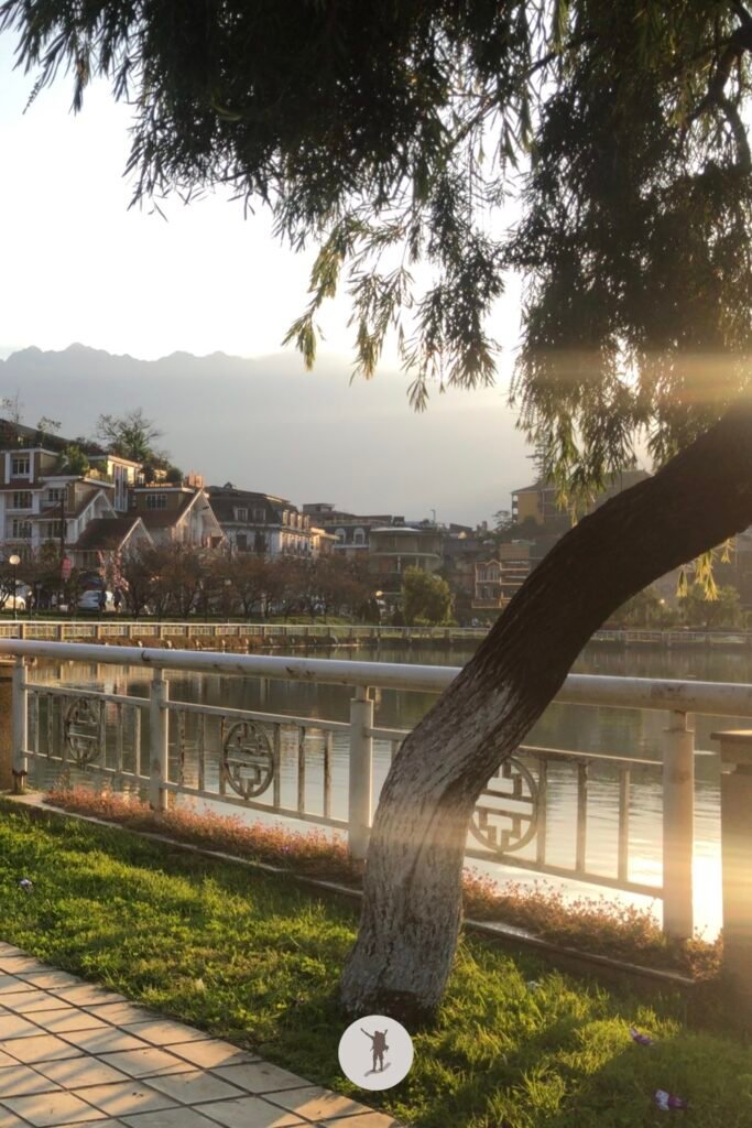 A curved tree with the view of Fansipan and Lake Sa Pa, Vietnam