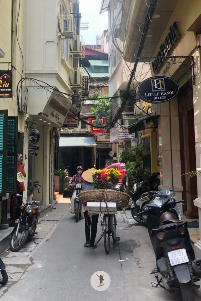 A woman carrying her flowers using her bicycle in Hanoi, Vietnam