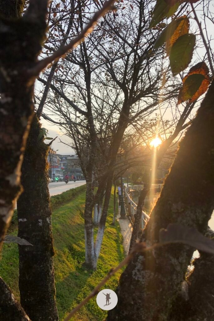 Autumn leaves in Lake Sa Pa, Vietnam