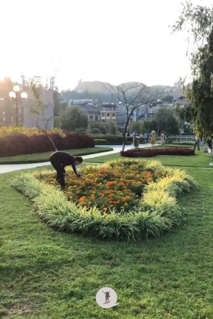 Gardener taking care of the flower beds around Lake Sa Pa, Vietnam