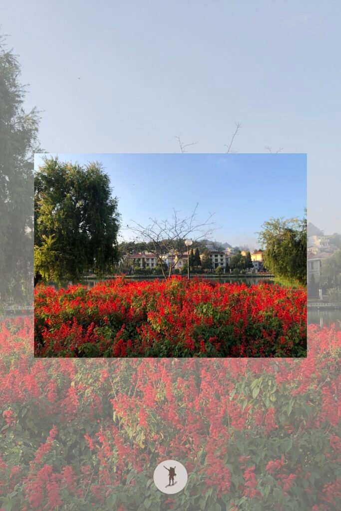 The bed of flowers, a photo spot in Lake Sa Pa, Vietnam