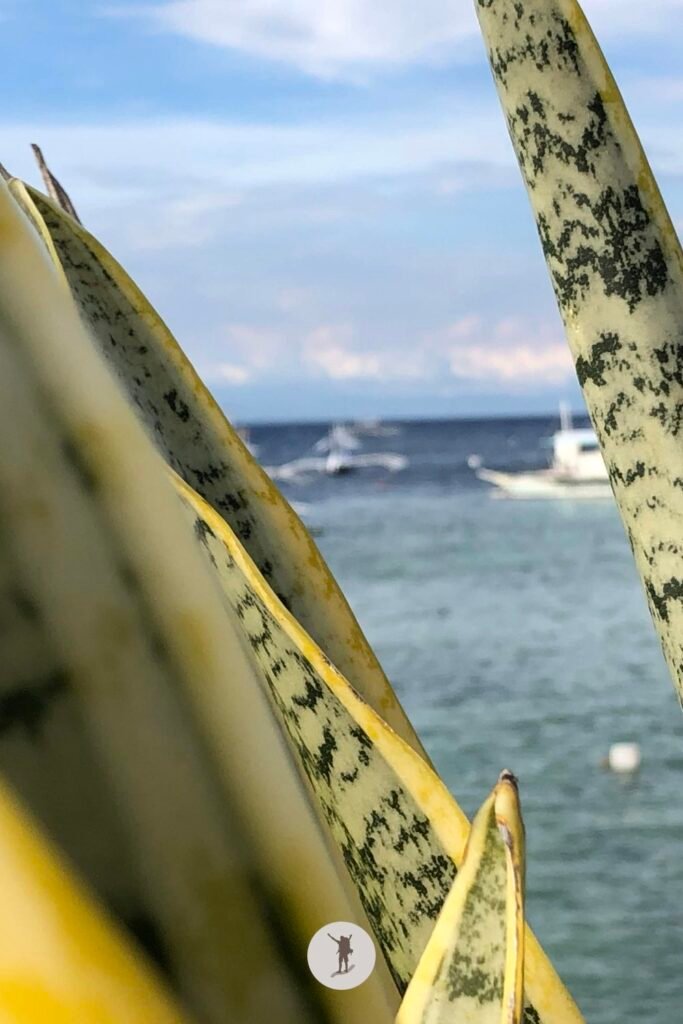 Another view of the sea from the dock in Moalboal, Cebu, Philippines