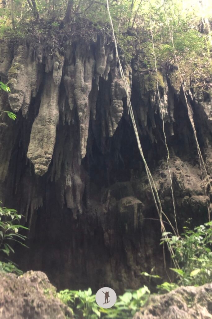 Close up view of the stalactites along the trail of Kawasan Falls Canyoneering, Cebu, Philippines