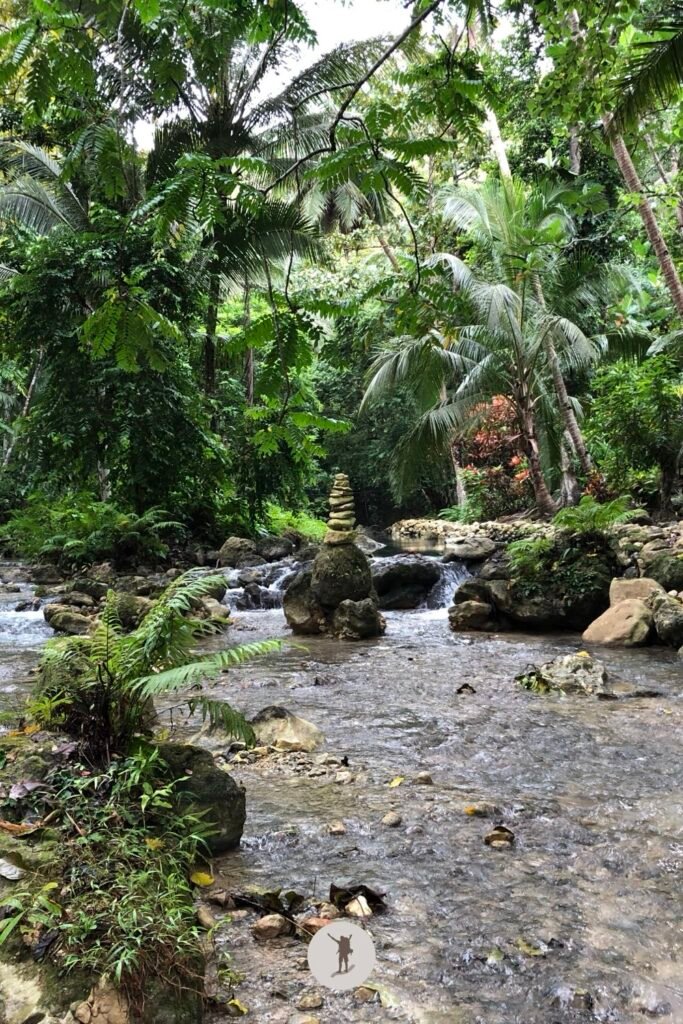 Magical view of the jungle with stone stacks we saw after canyoneering in Kawasan Falls, Cebu, Philippines