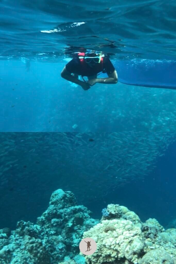 Me snorkeling with thousands of sardines around me in Moalboal, Cebu, Philippines