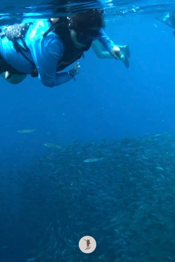 My friend beholding the spectacular sardine run in Moalboal, Cebu, Philippines