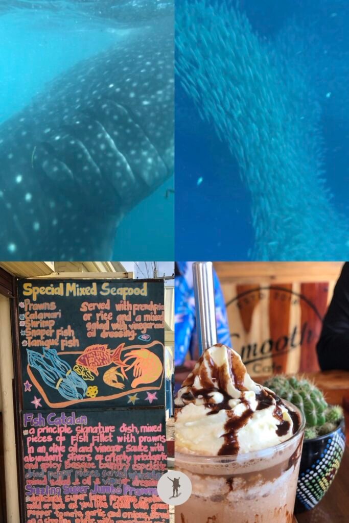 Planning Our South Cebu Trip: Everything We Packed and Booked (Free Checklist) 5 One more glimpse into your South Cebu adventures, top left, Oslob whale shark watching, top right, Moalboal sardine run, below, food trip in Moalboal