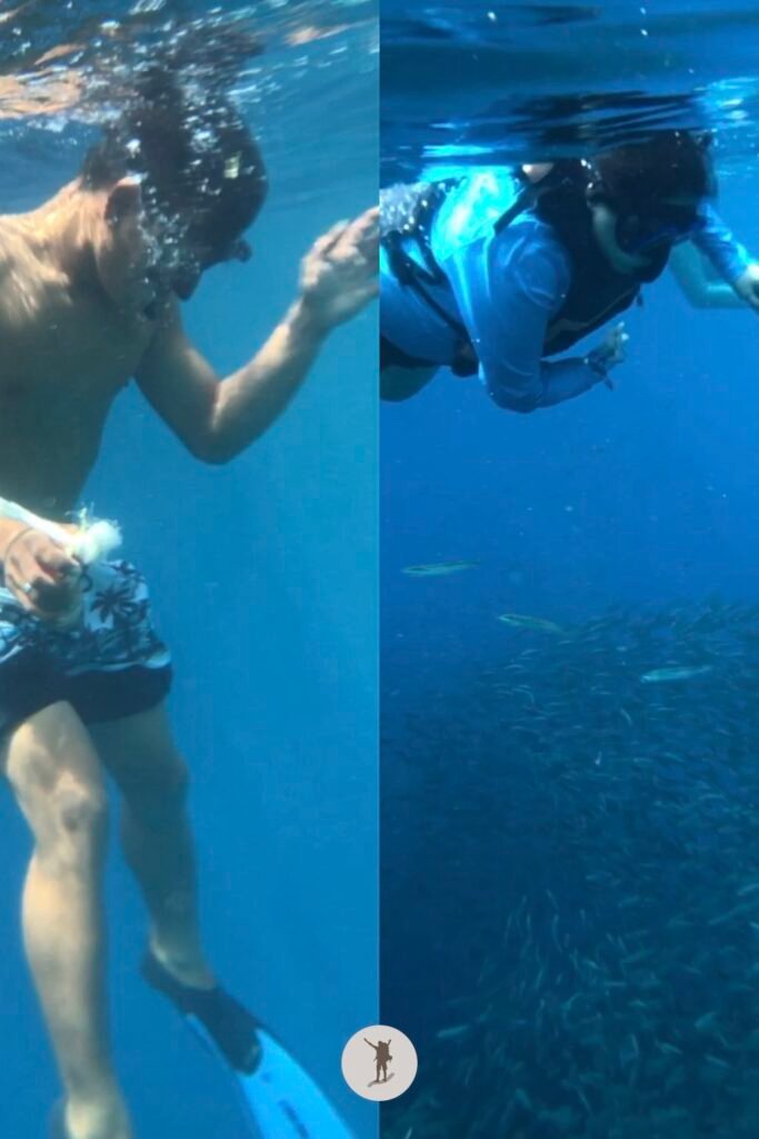 Our guide and my friend watching thousands of sardines in Moalboal, Cebu, Philippines
