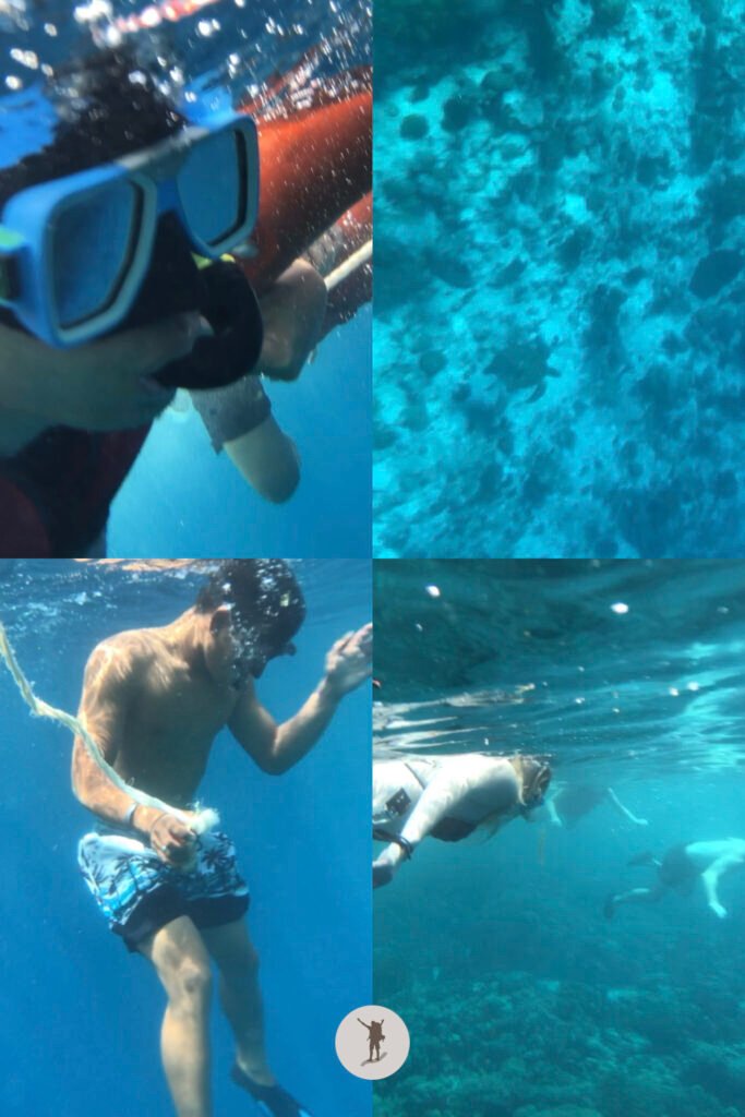 A photo of me, our guide, another tourist, and the sea turtle we saw during our snorkeling tour in Moalboal, Cebu, Philippines