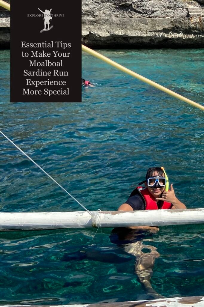 Featured Image — Essential Tips That Could Have Made Our Moalboal Sardine Run Experience More Special