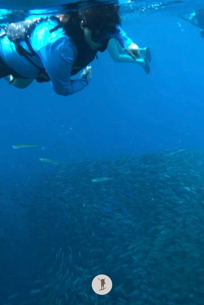 I captured my friend marveling at a shoal of sardines during our snorkeling tour in Moalboal, Cebu, Philippines