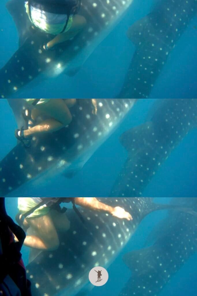 Our Whale Shark Watching Experience in Oslob, Cebu, and Our Tips for First-Time Visitors 24 My friend as she moves her legs away from the whale shark during our snorkeling tour in Oslob, Cebu, Philippines