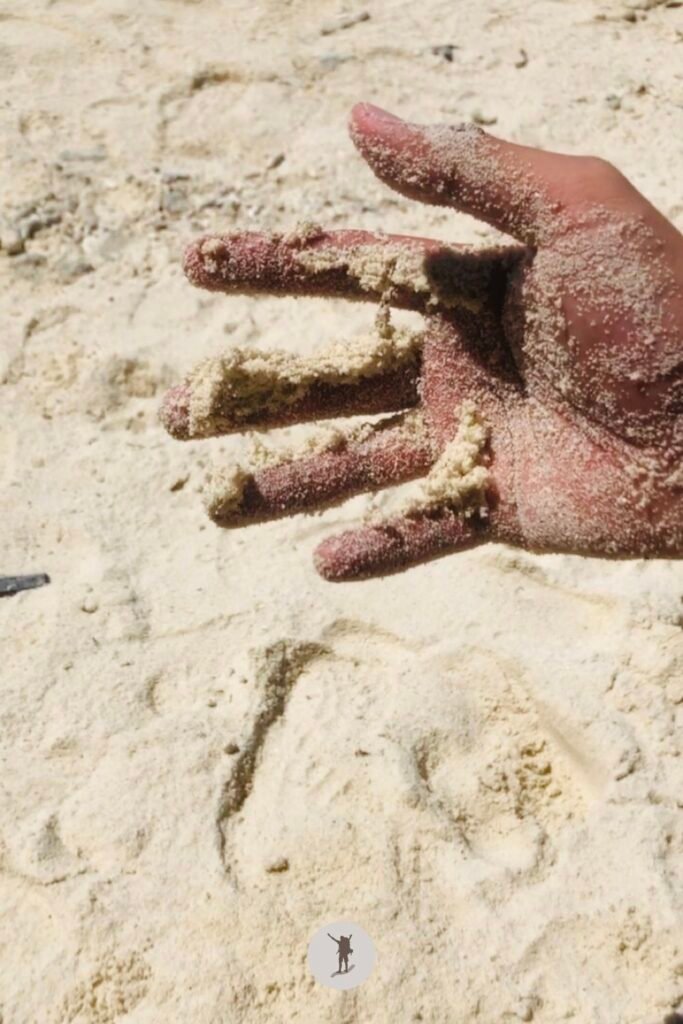 Our Beautiful Experience Visiting Sumilon Island After Whale Shark Watching in Oslob 23 My hand and the stuck fine sand on it in Sumilon Island, Oslob, Cebu, Philippines