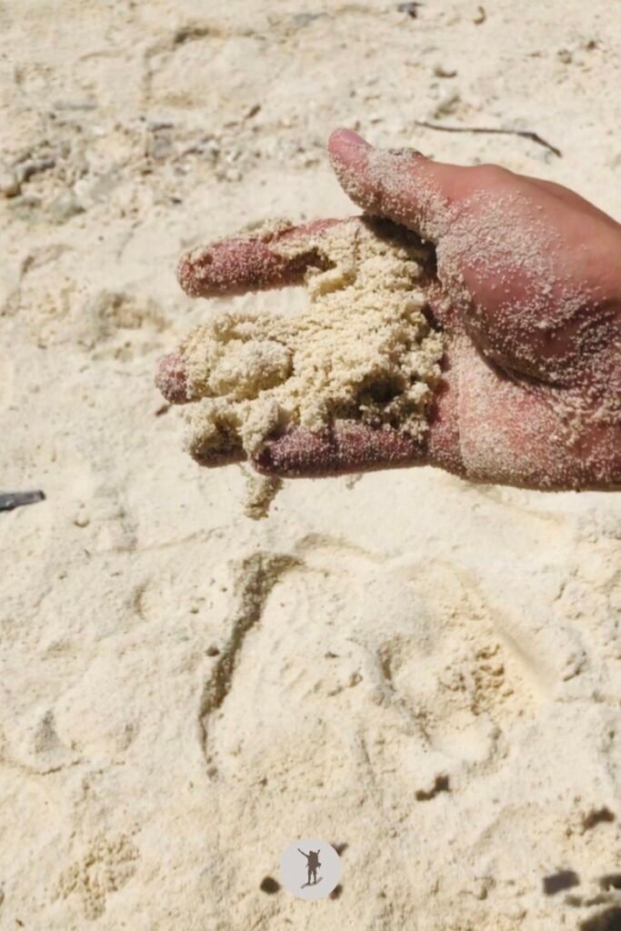 Our Beautiful Experience Visiting Sumilon Island After Whale Shark Watching in Oslob 20 My hand full of wet soft white fine sand of Sumilon Island, Oslob, Cebu, Philippines