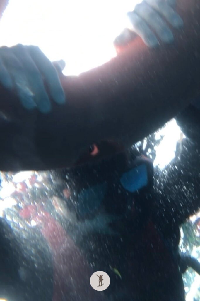 One of our mates enjoying the glide as he grabs on lifebuoy pulled by our guide during our snorkeling tour in Moalboal, Cebu, Philippines