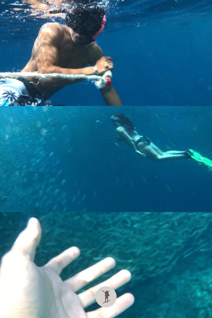 Our guide, another tourist, and the thousands of Sardines I saw during our snorkeling boat tour in Moalboal, Cebu, Philippines