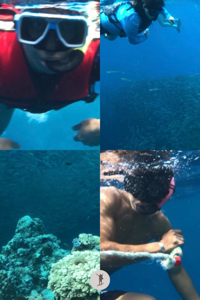 Photos of me, my friend, and our guide taking in the beauty of Sardine Run in Moalboal, Cebu, Philippines