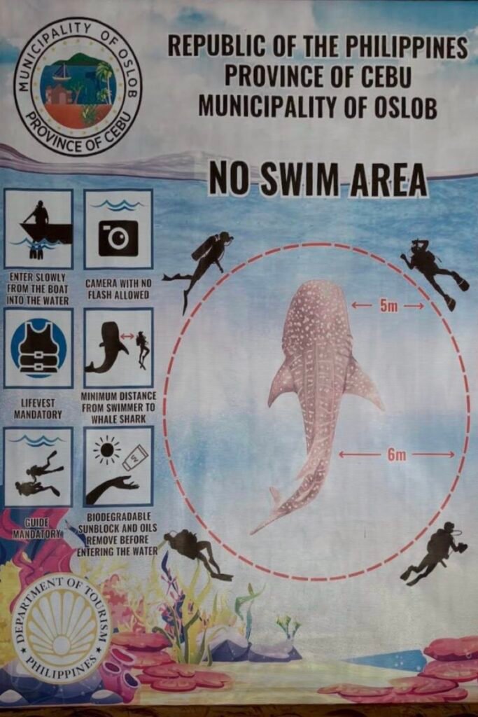 Our Whale Shark Watching Experience in Oslob, Cebu, and Our Tips for First-Time Visitors 12 Rules when watching the whale sharks, part 1, in Oslob, Cebu, Philippines
