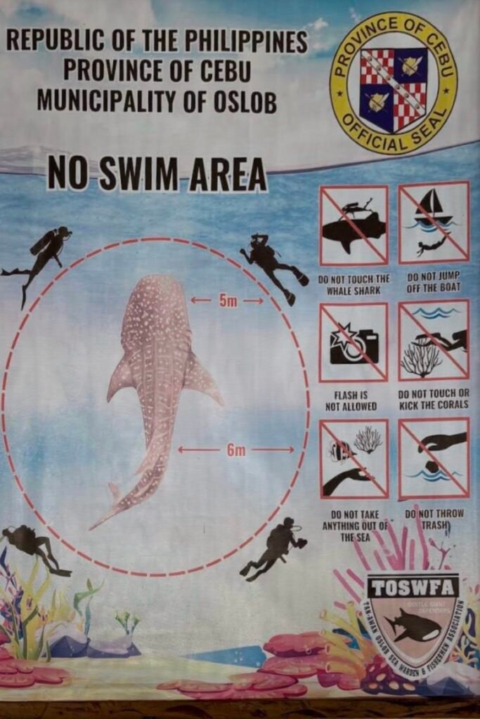 Our Whale Shark Watching Experience in Oslob, Cebu, and Our Tips for First-Time Visitors 14 Rules when watching the whale sharks, part 2, in Oslob, Cebu, Philippines