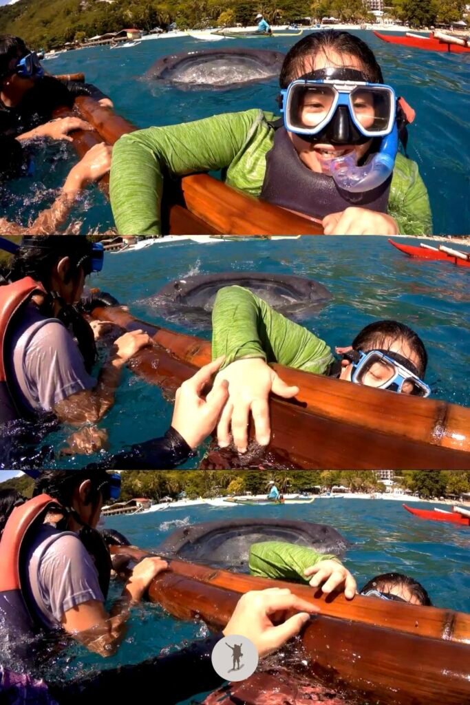 Our Whale Shark Watching Experience in Oslob, Cebu, and Our Tips for First-Time Visitors 30 The above the water view of a whale shark opening its mouth directly in front of us during our snorkeling tour in Oslob, Cebu, Philippines