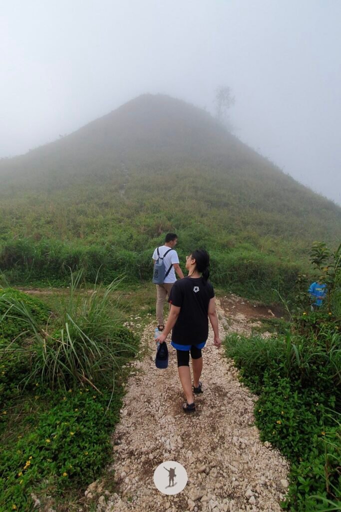 Our Expectation vs. Reality Hiking Osmeña Peak in Cebu and Tips Before You Hike 24 The chocolate-hill-like views along the hiking trail from Osmena Peak, Cebu, Philippines