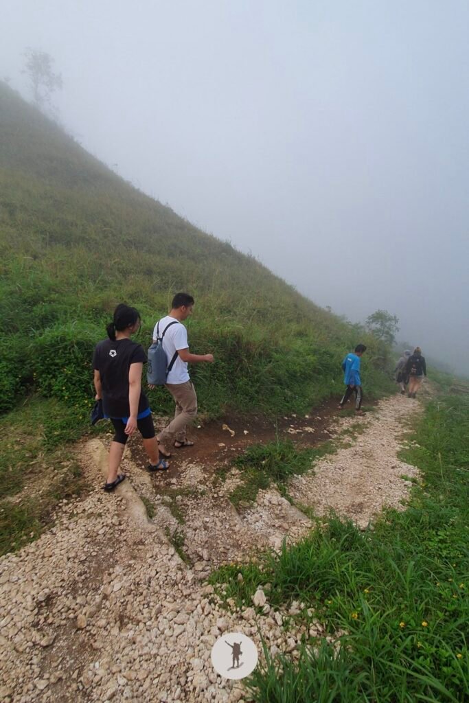Our Expectation vs. Reality Hiking Osmeña Peak in Cebu and Tips Before You Hike 26 The downslope view of the trail from Osmena Peak, Cebu, Philippines