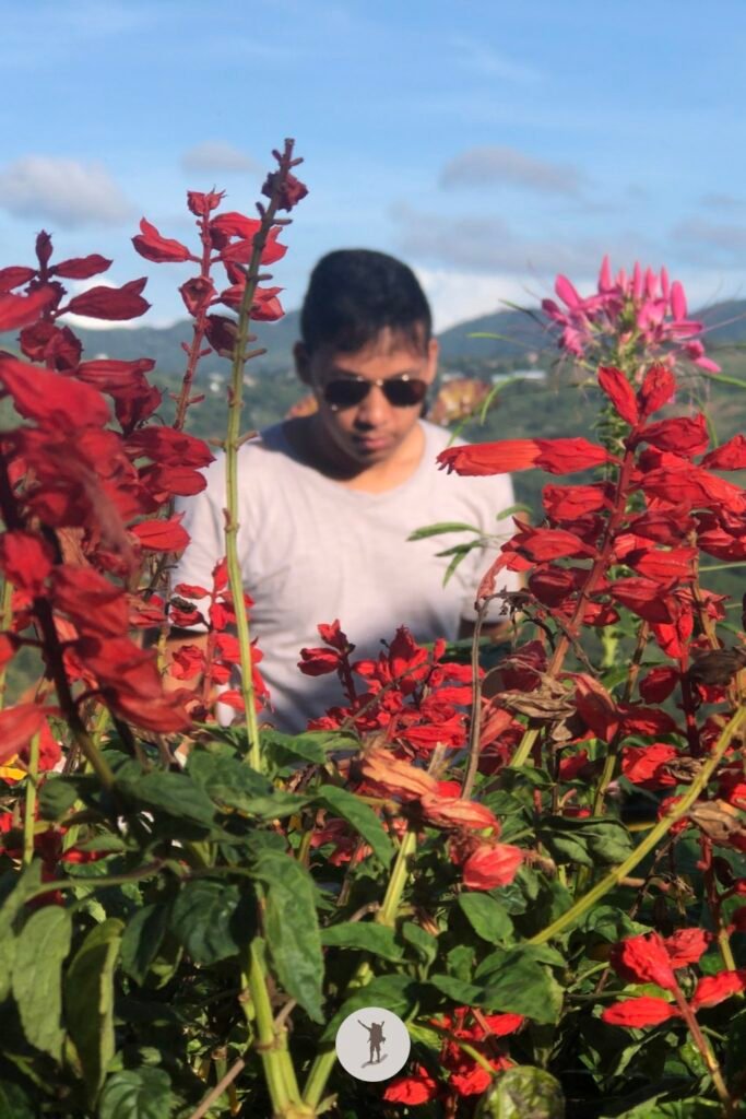 Our Visit to Cebu City Highlands: Takeaways to Make Your Trip More Unforgettable 21 Candid selfie with the flowers of Sirao, Cebu City Highlands, Cebu, Philippines