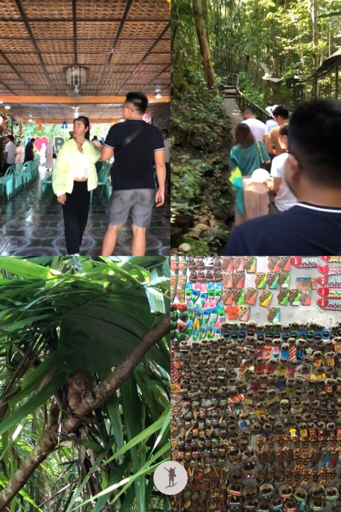 4 photos to summarize our experience in the Tarsier Conservation Area, Bohol, Philippines