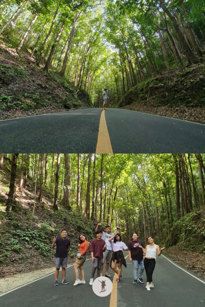 How Our Group Enjoyed the Best of Bohol in One Day and How You Can Do It Even Better 25 Bilar Man-Made Forest, 5th stop for our day trip itinerary in Bohol, Philippines