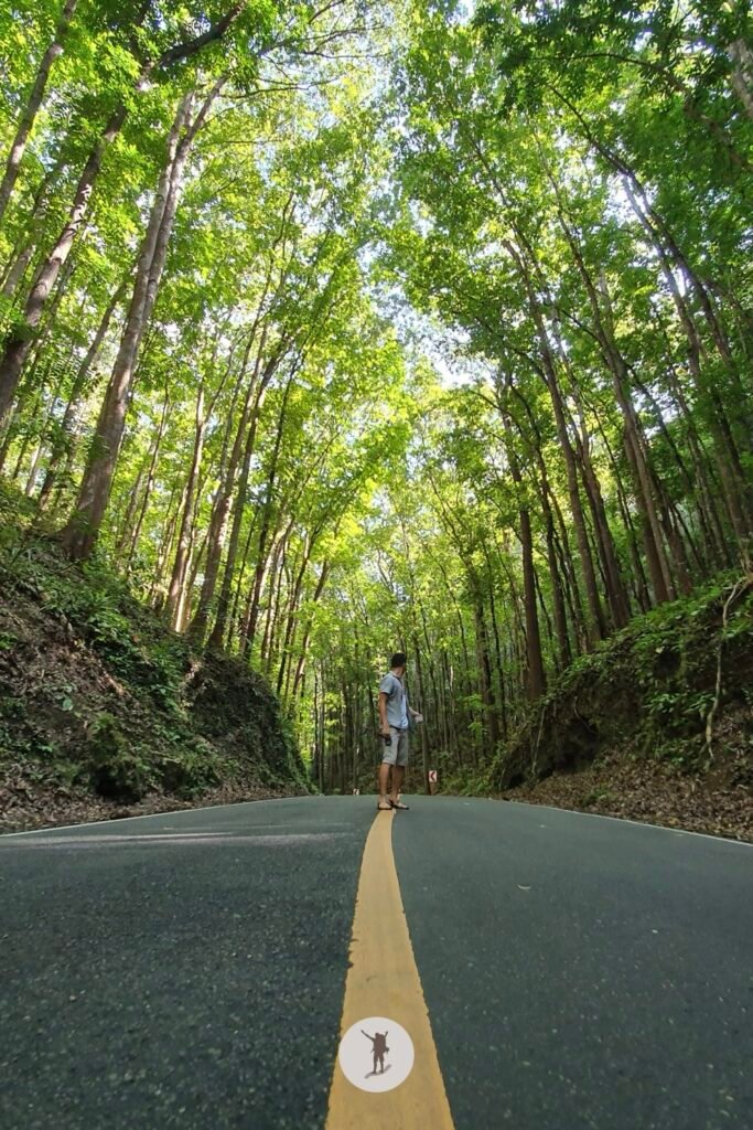 Our Unforgettable 5-Day Central Visayas Trip That You Can Easily Follow For Your Trip 21 Checking the view behind me to see if there was a vehicle that will pass by in Bilar Man-Made Forest, Bohol, Philippines