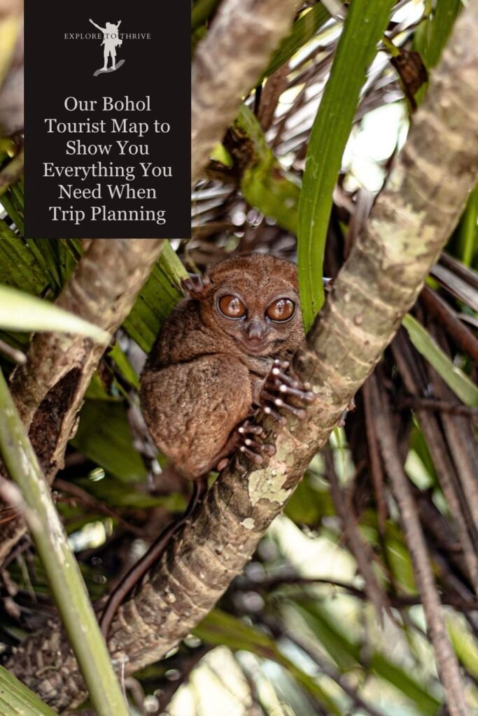 Featured Image — Our Bohol Tourist Map to Show You Everything You Need When Planning a Perfect Visit