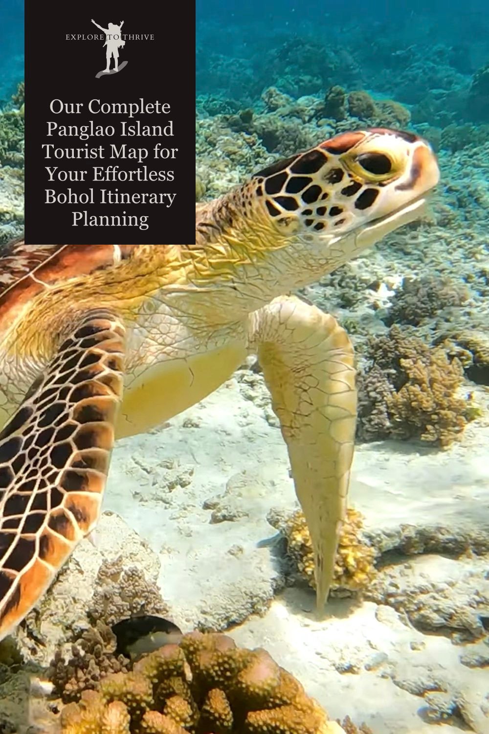Featured Image — Our Complete Panglao Island Tourist Map for Your Effortless Bohol Itinerary Planning