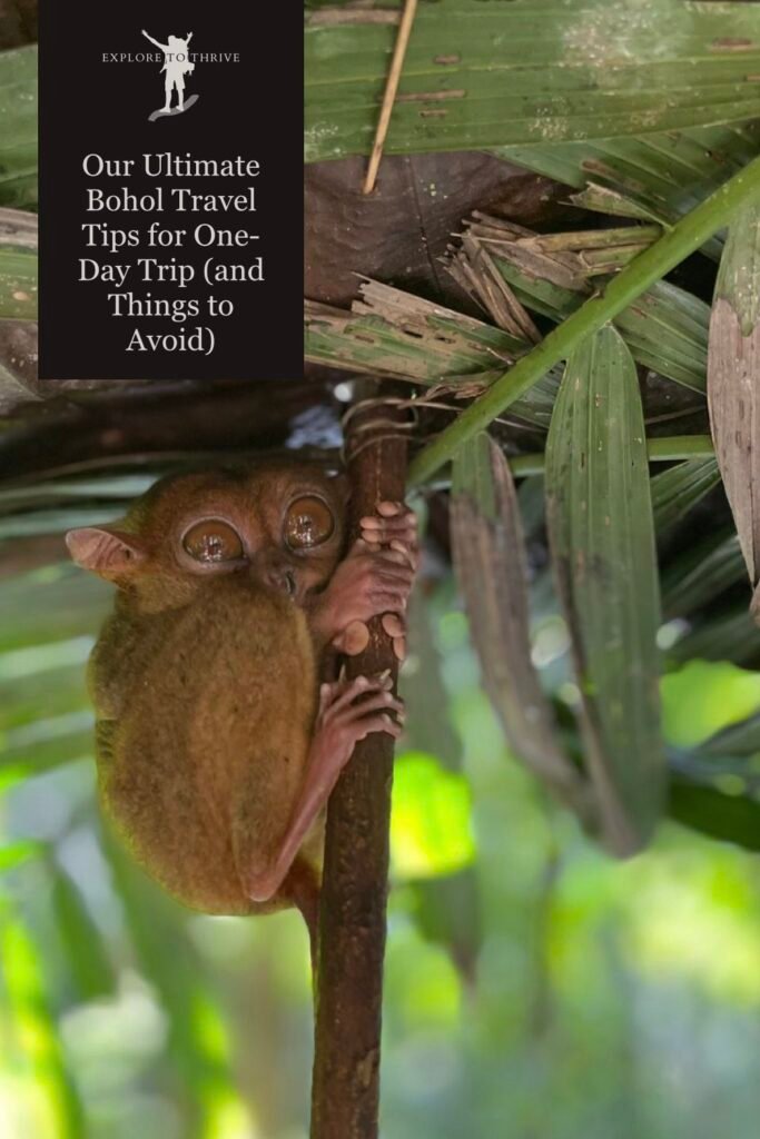 Featured Image — Our Ultimate Bohol Tips for Travelers Planning a One Day Trip (and Things to Avoid)