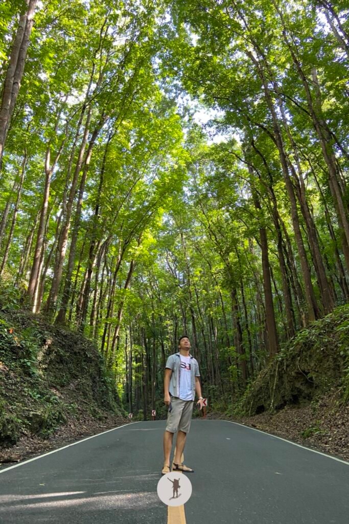 My whole body portrait shot in Bilar Man-Made Forest for an Instagram post, Bohol Philippines