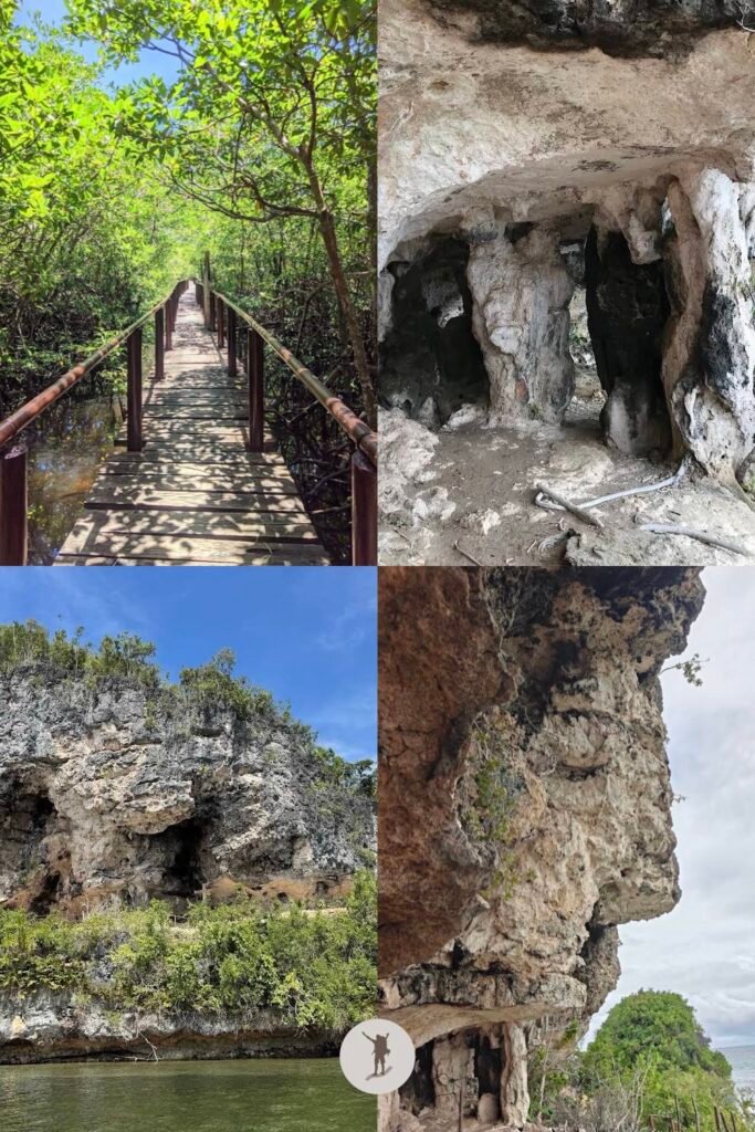 The mangroves and the rock formations in Lamanok Point in Bohol, Philippines