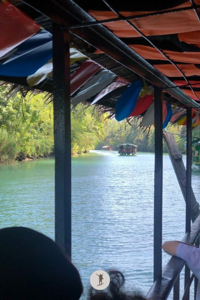 The view of Loboc River from our table during our river cruise, Bohol, Philippines