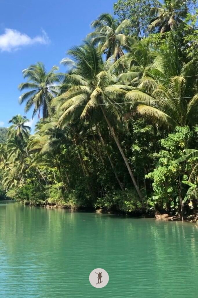 Tranquil jungle view with turquoise Loboc River from the floating restaurant, Bohol, Philippines