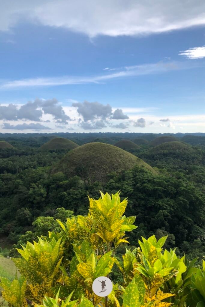 View of the Chocolate Hills from the observation deck at the Chocolate Hills Complex, Bohol, Philippines